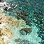Residenza Mimosa