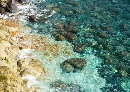 Residenza Mimosa