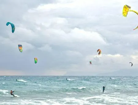 Residenza Mimosa *