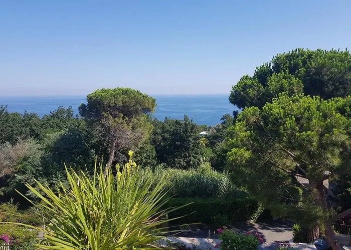Residenza Mimosa فاراتسي